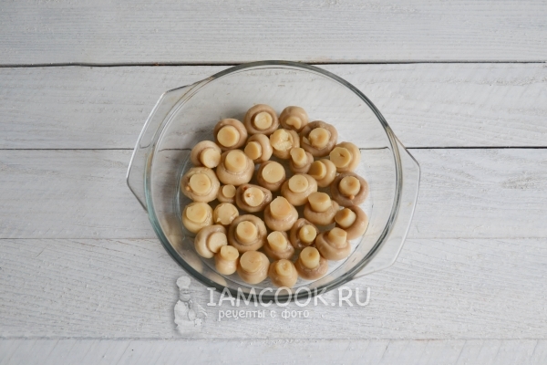 Выложить в форму грибы