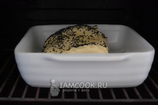 Поставить мясо в тесте в духовку