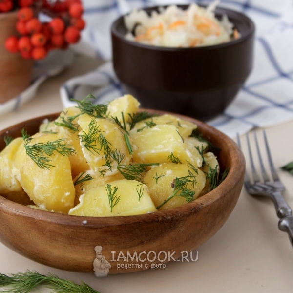 Фото тушеной картошки в сметане в мультиварке