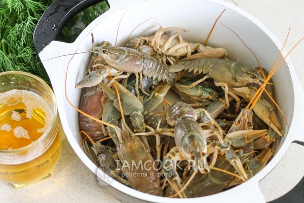 Положить раков в кастрюлю