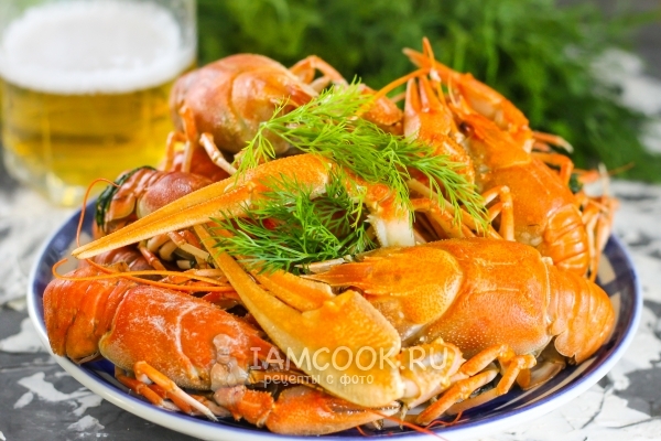 Фото раков в пиве