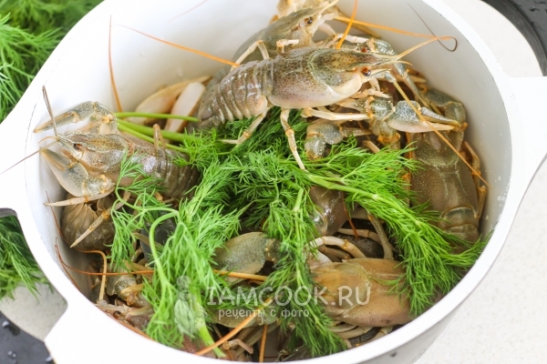 Положить укроп