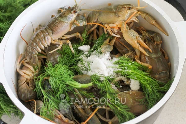 Всыпать соль