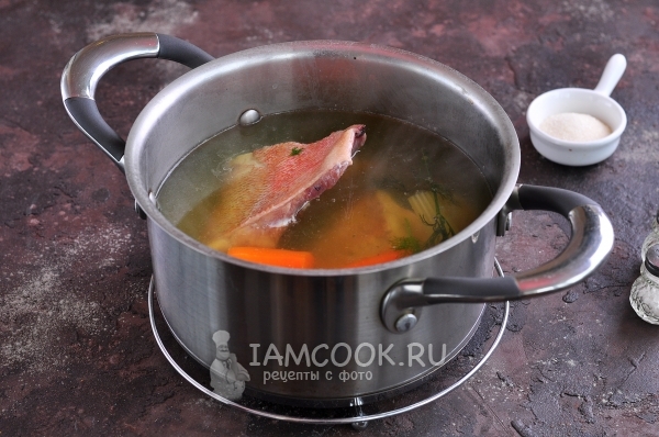 Положить в бульон рыбу