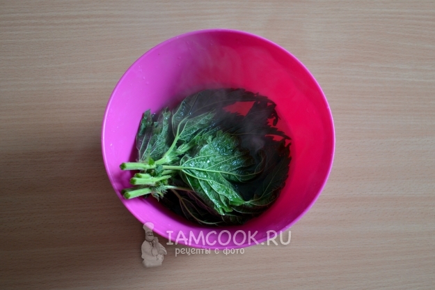 Запариваем крапиву