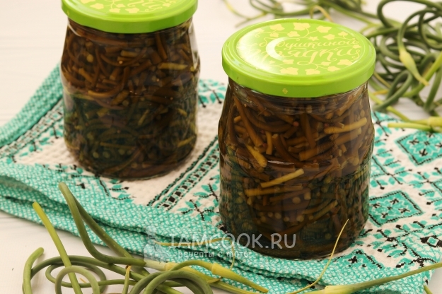 Фото маринованных стрелок чеснока на зиму без стерилизации