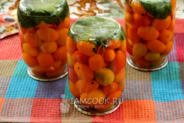 Фото помидоров черри в листьях вишни
