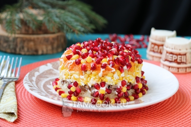 Фото салата «Ричард» с гранатом и говядиной