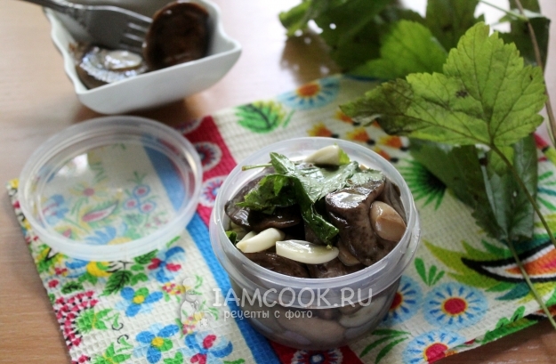Фото малосольных подберезовиков