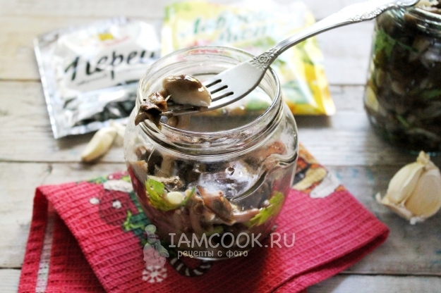 Рецепт засолки опят на зиму горячим способом в банках