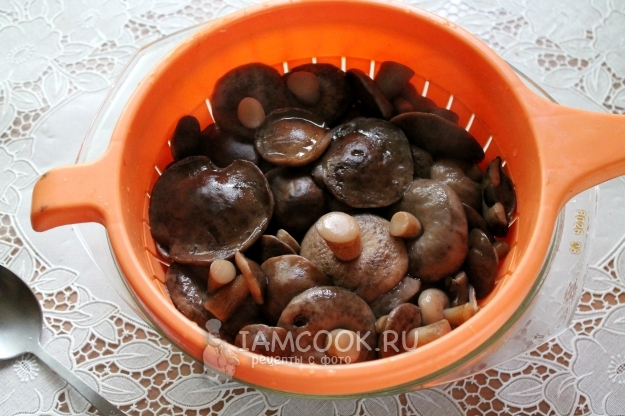 Сварить грибы