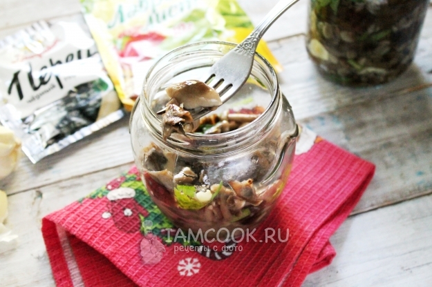 Фото засолки опят на зиму горячим способом в банках