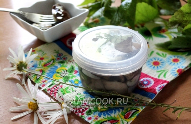 Рецепт малосольных подберезовиков