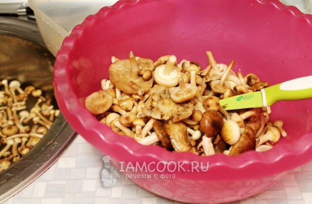 Почистить грибы