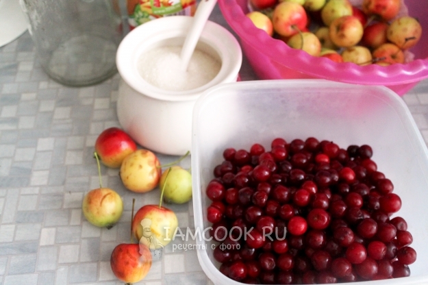 Ингредиенты для компота из ранеток и вишни на зиму