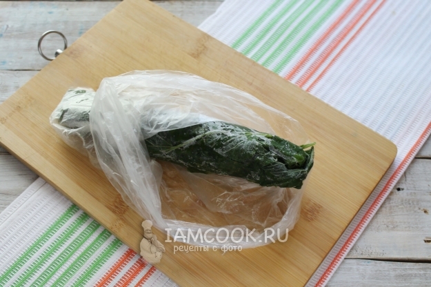 Заморозить крапиву