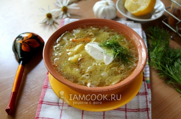 Рецепт классического грибного супа из белых грибов