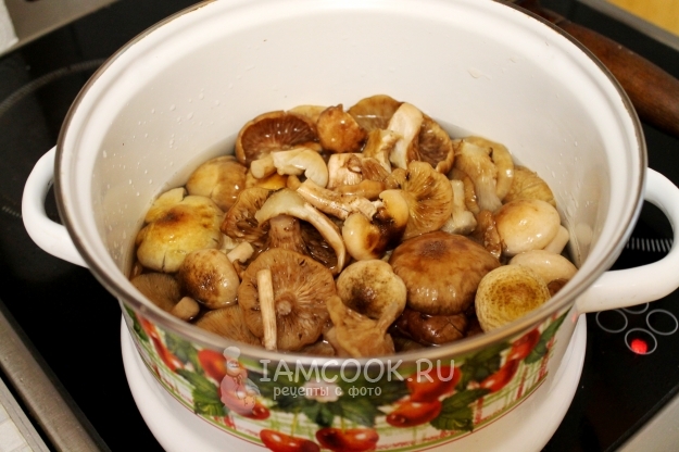 Сварить грибы