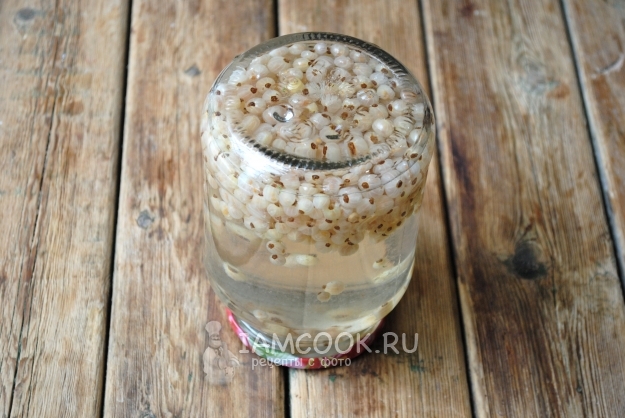 Рецепт компота из белой смородины на зиму