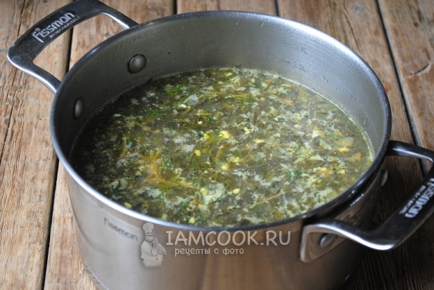 Рецепт щей из щавеля на курином бульоне