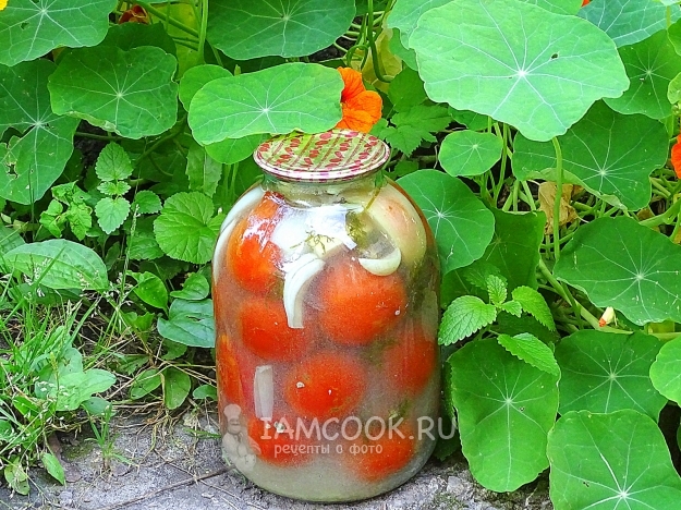 Фото квашеных помидоров в банках, как бочковые