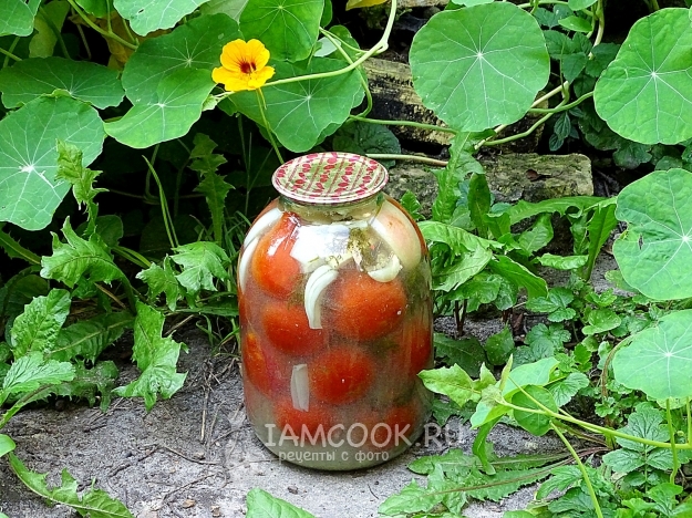 Рецепт квашеных помидоров в банках, как бочковые