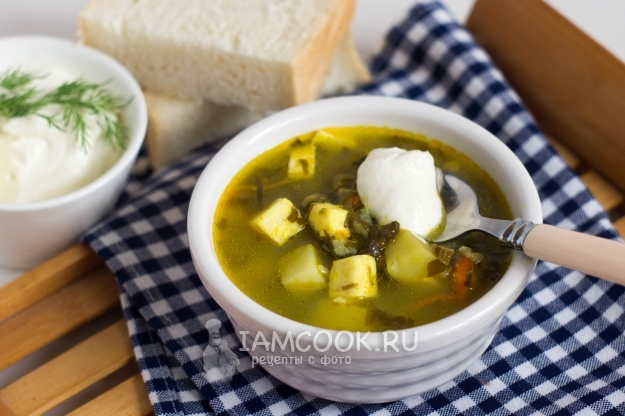 Рецепт зеленого борща со щавелем и адыгейским сыром