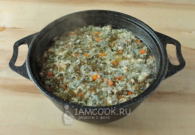 Фото супа с крапивой, щавелем и яйцом