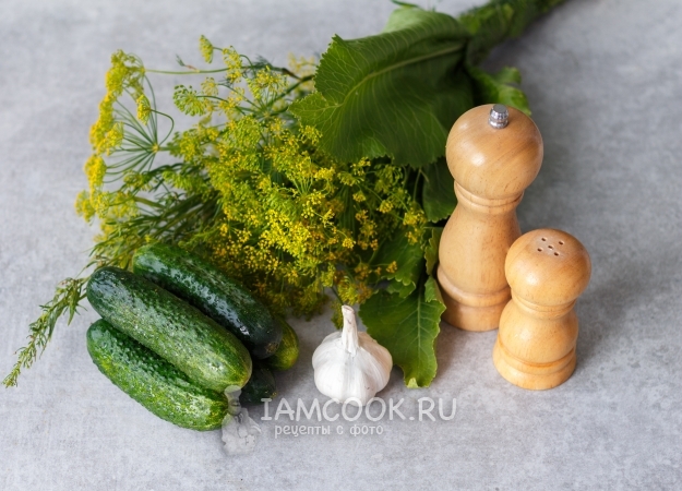 Ингредиенты для малосольных огурцов в кастрюле
