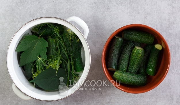 Положить на огурцы зелень