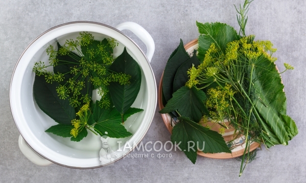 Положить в кастрюлю зелень