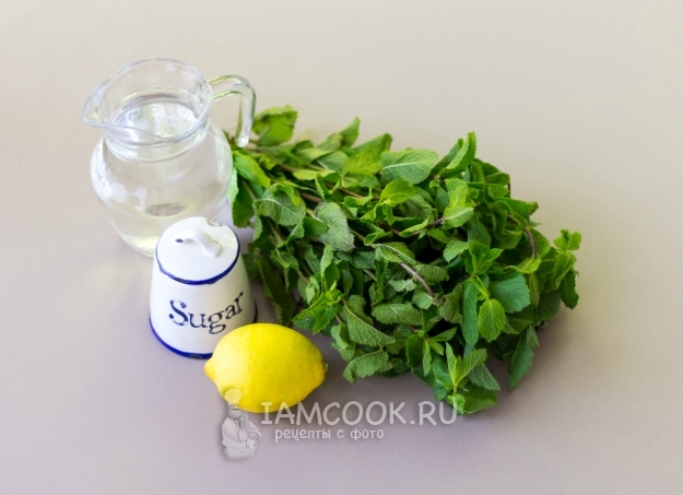 Ингредиенты для мятного сиропа в домашних условиях