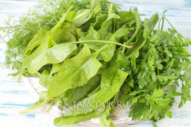 Ингредиенты для заморозки для зеленого борща на зиму