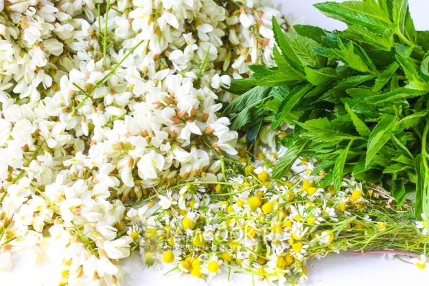 Подготовить необходимые растения