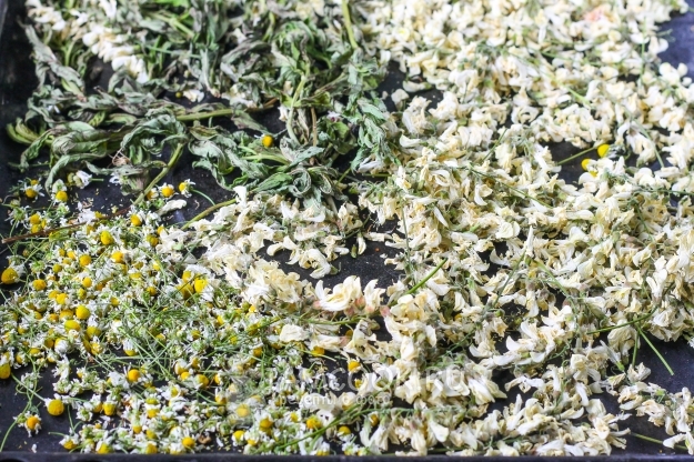 Высушить растения