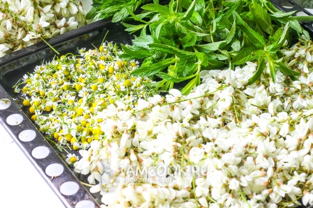 Положить растения на противень