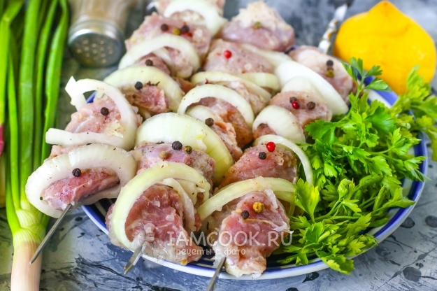 Рецепт лукового маринада для шашлыка