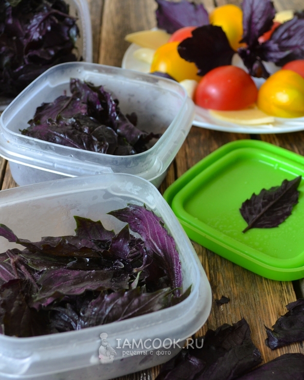 Рецепт заморозки листьев базилика