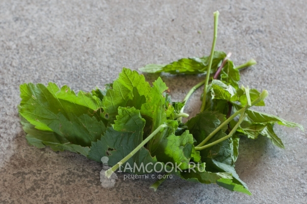 Подготовить листья мяты и смородины