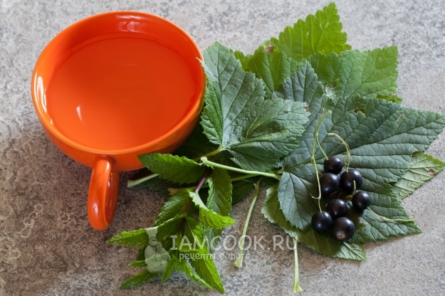 Ингредиенты для чая из листьев смородины
