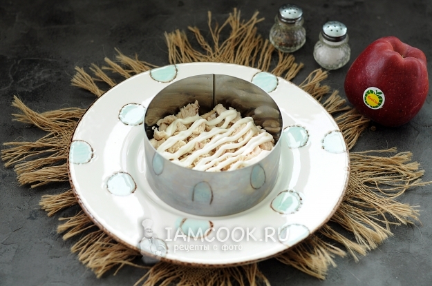 Выложить слой куриного филе