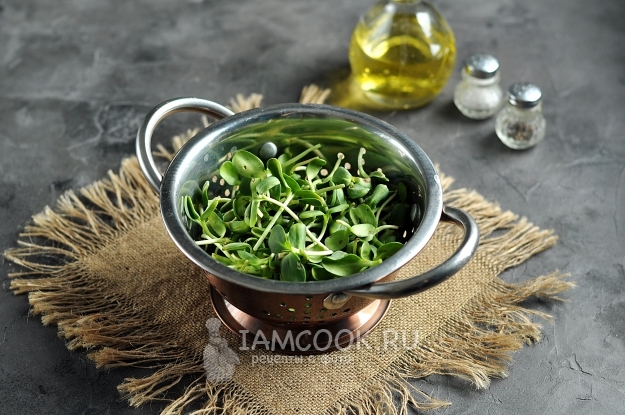 Подготовить проростки подсолнечника