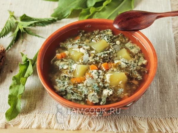 Суп с крапивой, щавелем и яйцом, рецепт с фото