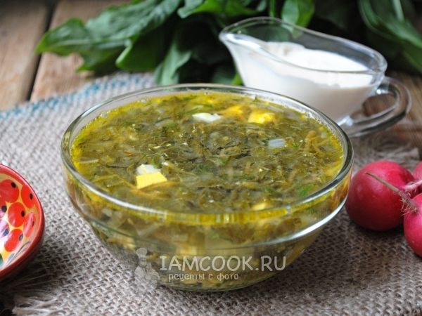 Щи из щавеля на курином бульоне, рецепт с фото