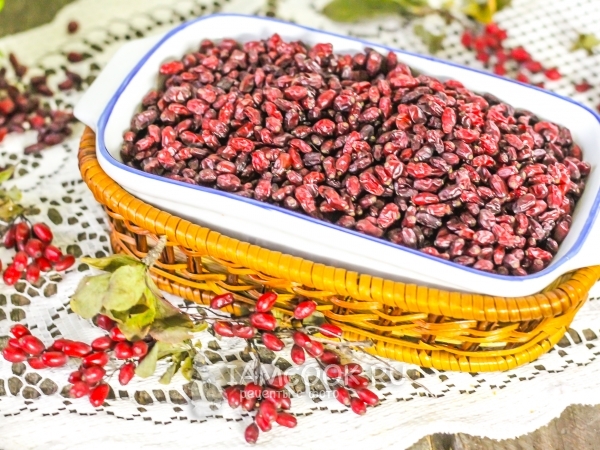 Сушка барбариса, рецепт с фото