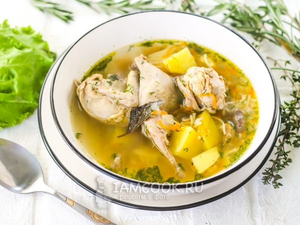 Суп из перепелов, рецепт с фото