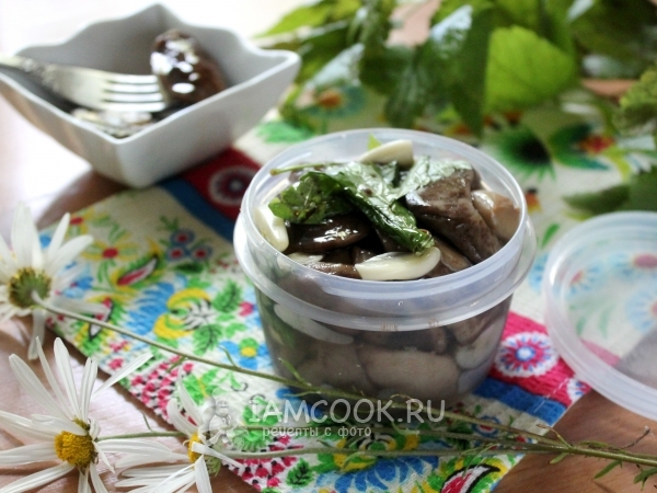 Малосольные подберезовики, рецепт с фото