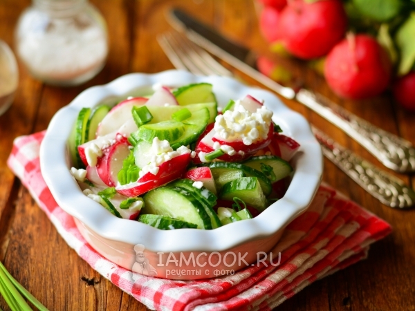 Салат с редиской, огурцами и творогом, рецепт с фото