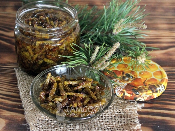 Варенье из сосновых побегов, рецепт с фото