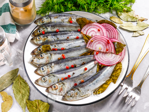 Маринованная салака, рецепт с фото